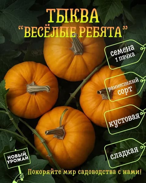 Тыква (кустовая) Весёлые ребята, семена, 10 шт.