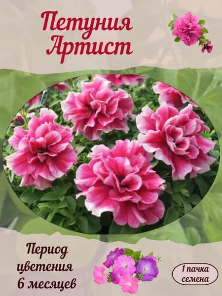 Петуния Артист, семена, 10 шт.