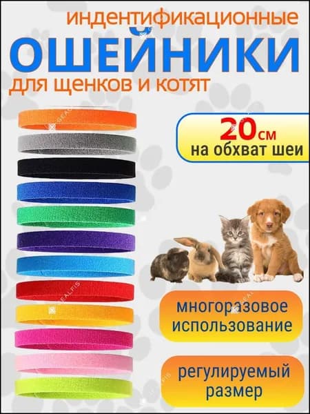 Цветные декоративные маркировочные ошейники/ошейники с опознавательными знаками для котят, щенков и кроликов, набор из 12 предметов