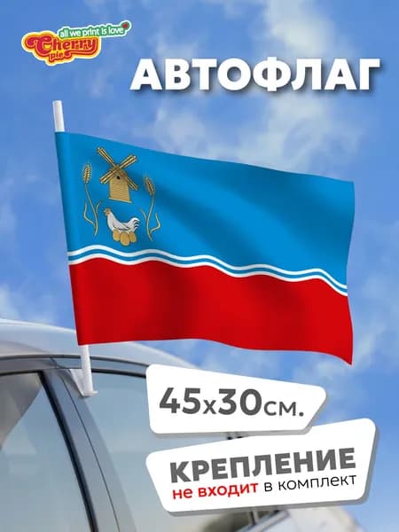 Флаг 45x30 Володарск (Нижегородская область) (2011 г.)