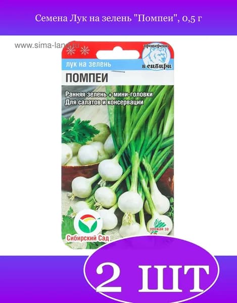 2 упаковки Семена Лук на зелень Помпеи , 0,5 г