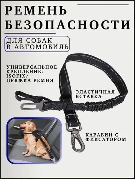 Ремень безопасности для собак