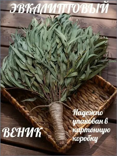 Веник для бани Эвкалиптовый, 1 шт.
