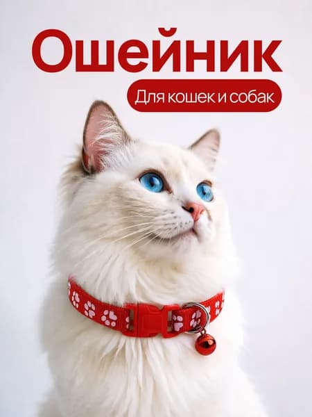Ошейник с колокольчиком для кошек, котят, собак мелких пород и кроликов