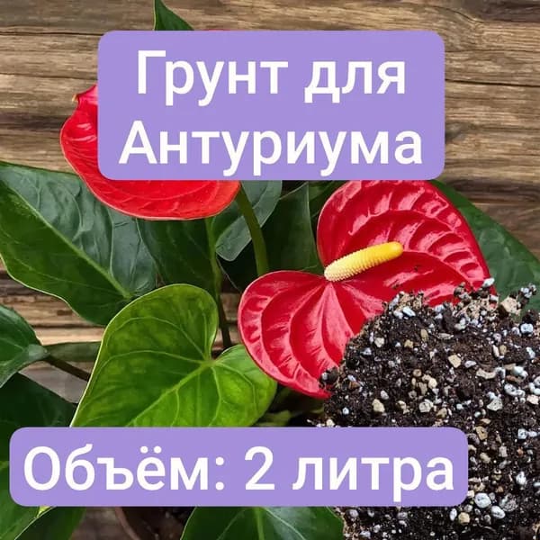 Грунт для Антуриума, 2 литра