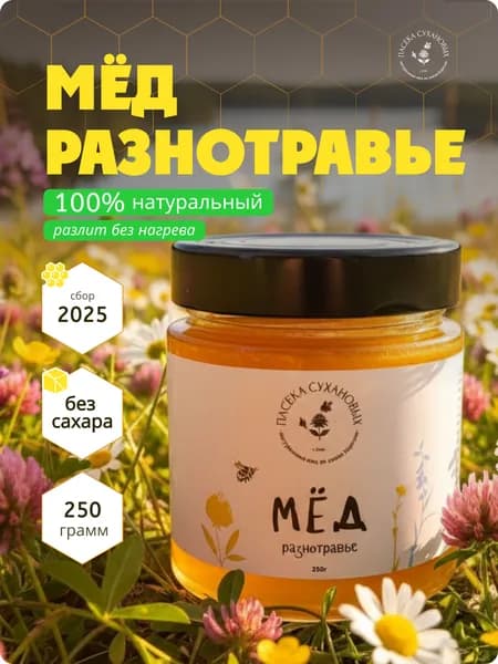 Натуральный мёд Разнотравье 250г, сбор с дикоросов 2025, в стеклянной банке