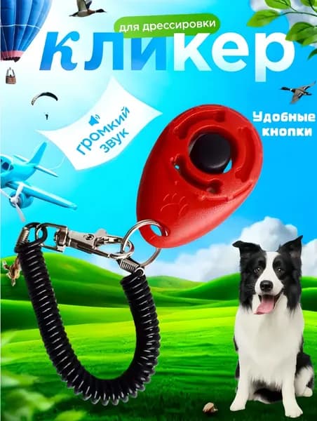 Устройство для дрессировки собак