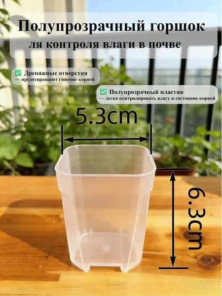 Вазон 0.2 л, 6.3 см, 10 шт, цвет прозрачный