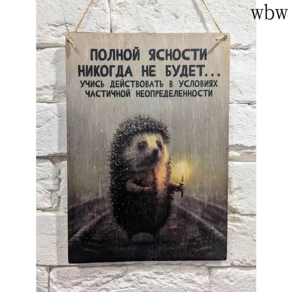 Табличка металлическая "Полная ясность" 20x30 cм.