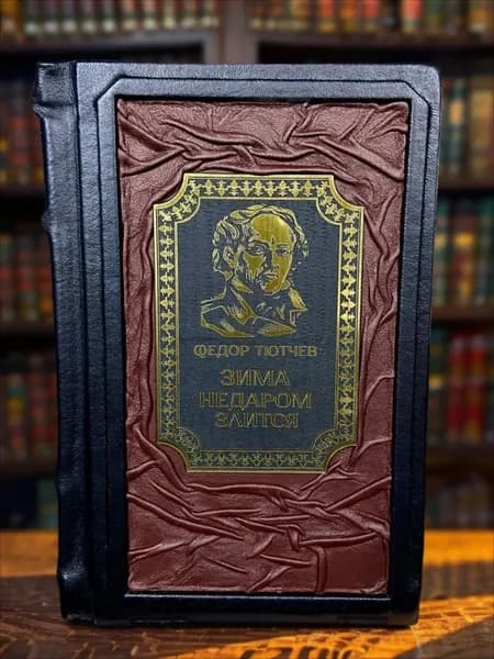 Зима недаром злится Тютчева сборник стихотворений в кожаном переплёте, подарочное издание. | Тютчев Федор Иванович