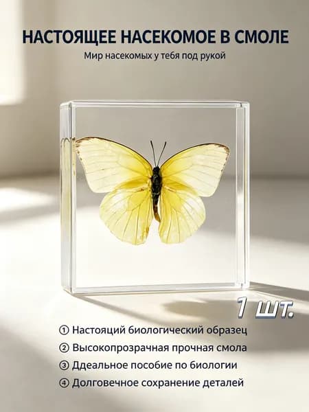 Экземпляры насекомых в эпоксидной смоле, учебные пособия.