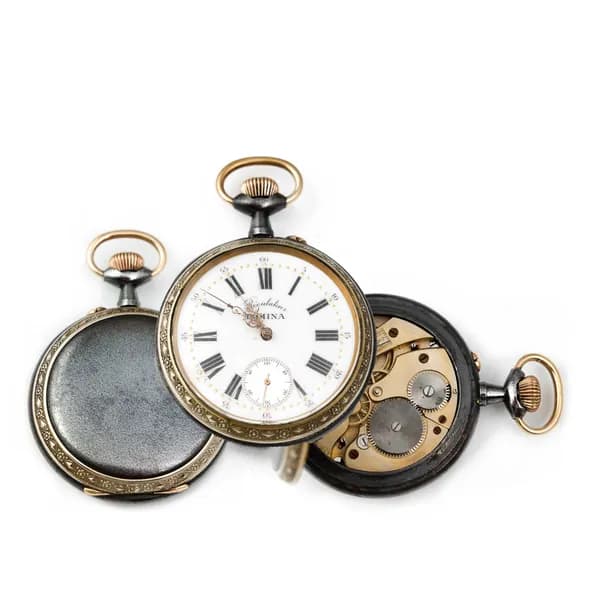 Большие карманные часы DOMINA Regulateur