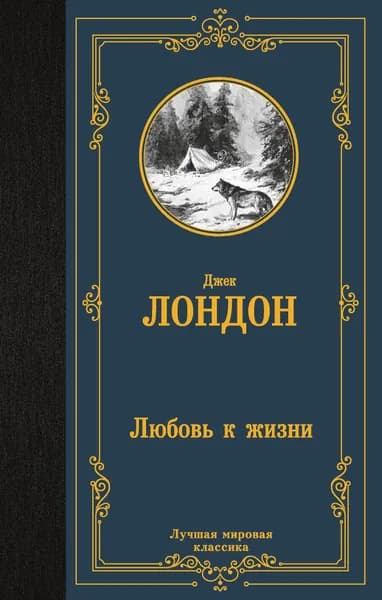 Книга Любовь к жизни