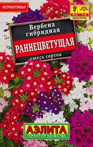 Семена Вербена Раннецветущая, смесь (30 семян). Смесь вербен для балкона и сада, высота 20-25 см. Обильное цветение с начала сезона до заморозков, ароматные цветы