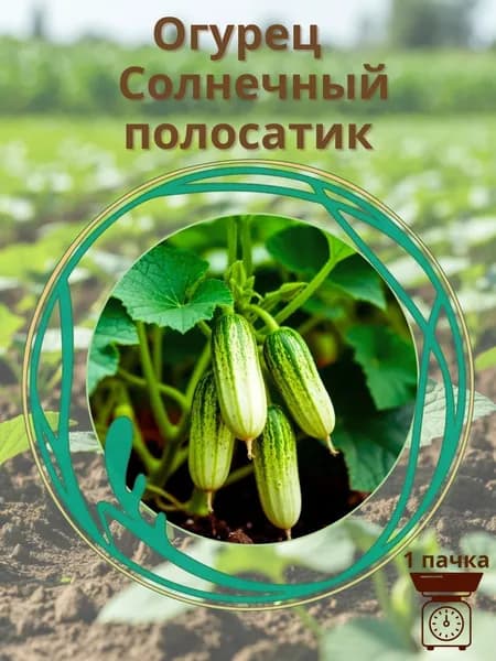 Огурец Солнечный полосатик 10 шт. семян