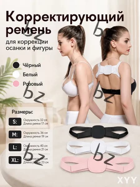 Тренажер для спины HW2026063001