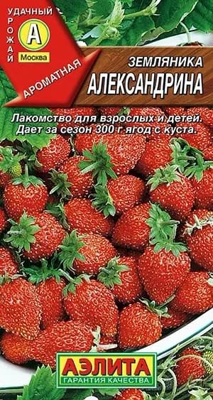 Семена Земляника Александрина (0,03г) - Аэлита