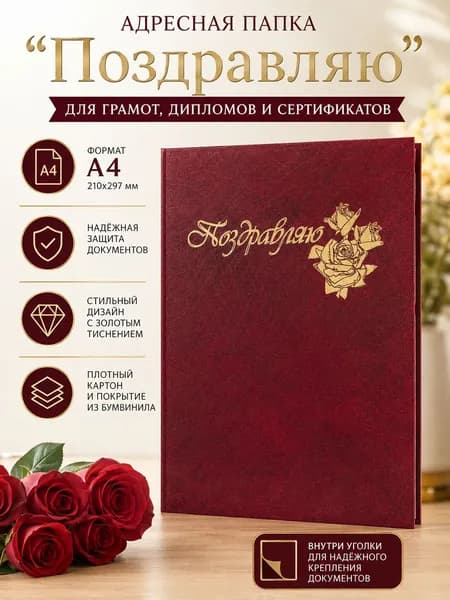Папка, 1 шт.