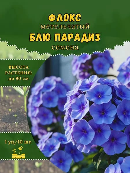 Флокс "Блю Парадиз" семена, 1 пачка
