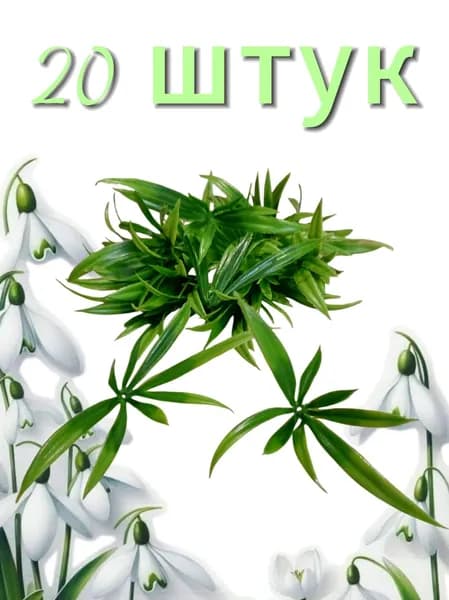 Искусственная зелень,вставка букетная ,,Розетка пырейная",20 штук