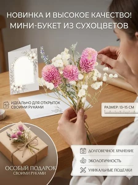Сухоцветы