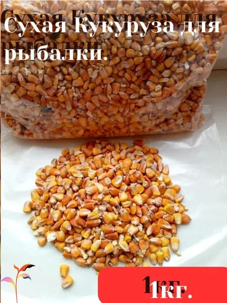 Сухая кукуруза для рыбалки кормовая.