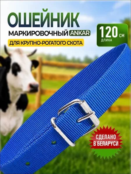 Ошейник для КРС плотный синий на ременной пряжке