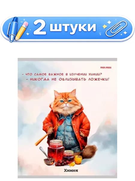 2уп. Тетрадь 48 листов П Химия Жил был кот Т48-1450