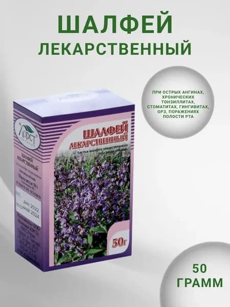 Шалфей лекарственный, при простудных заболеваниях, Хорст