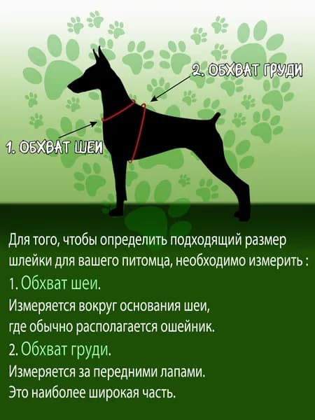 Шлейка для кошек, собак мелких, средних пород / щенков, взрослых животных с поводком, светоотражающеей нашивкой / прогулочная, анатомическая, регулируемая для дрессировки