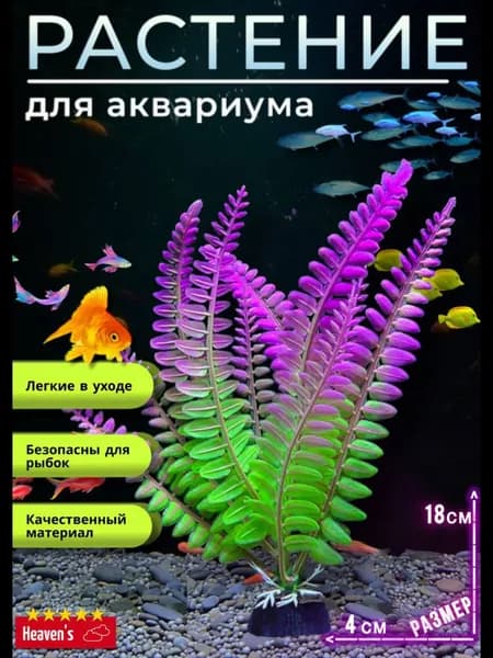Водоросли в аквариум растение