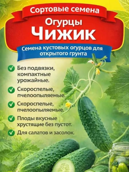 семена огурца Чижик , 5 шт. Сбор 2024. Годен до 30.08.2027