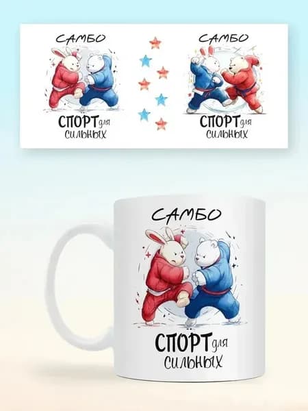 Кружка самбо спорт