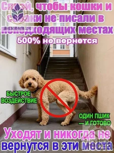 Отпугивающий спрей Антигрызин от кошек и собак: чтобы не гадили и не портили вещи. Эффективная защита дома от меток и царапания.