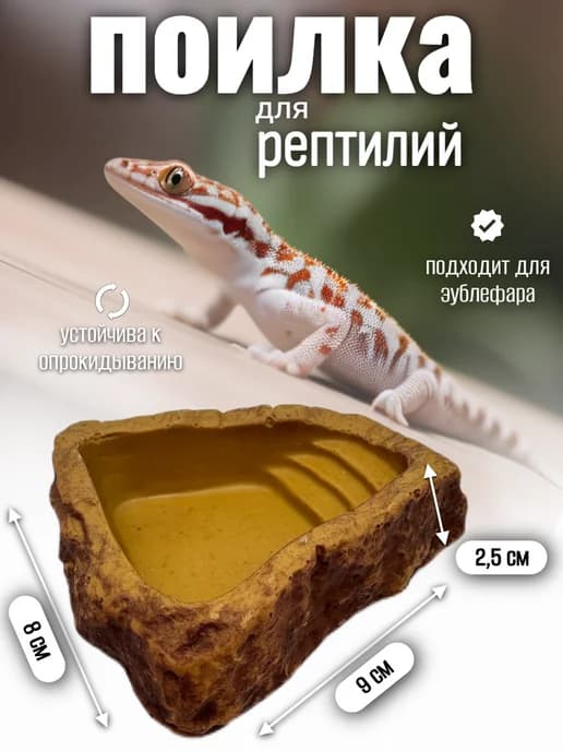 Кормушка поилка для рептилий