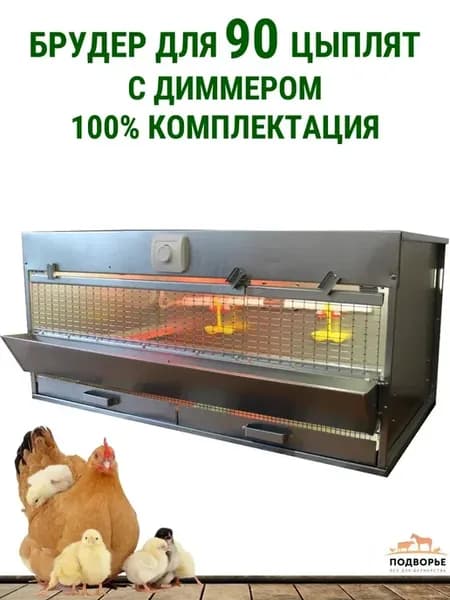 Брудер для цыплят на 90 голов Оптима