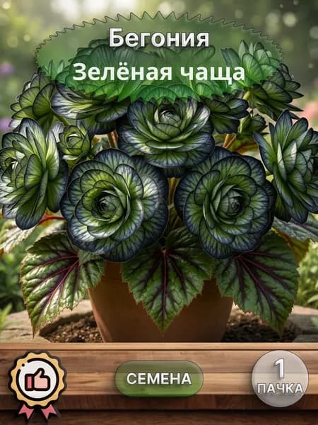 Бегония махровая Зелёная чаща, семена, 10 шт.