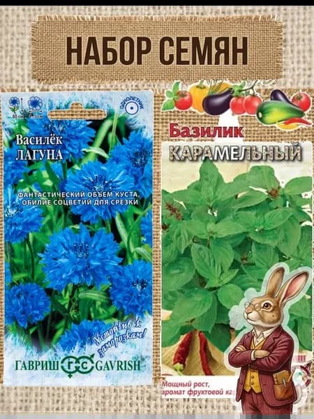 Василек Лагуна 0.2г и базилик Карамельный 0.3г