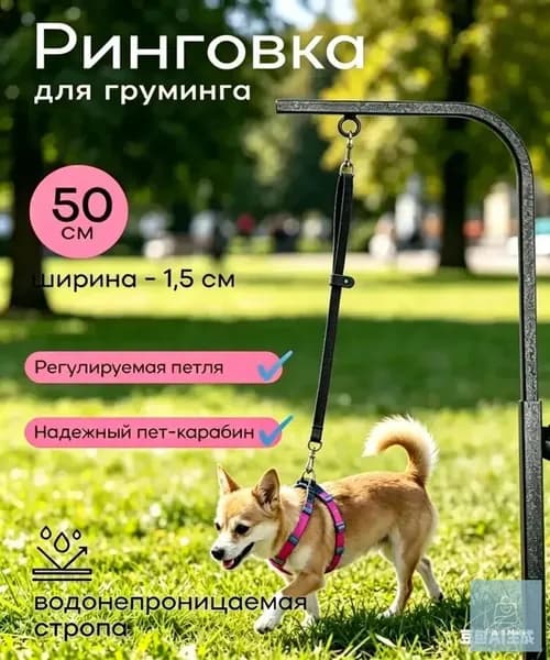 Поводок для груминга и купания домашних животных, 50 см, черный, 1 шт.