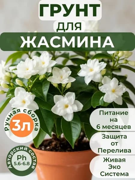 Готовый авторский грунт для Жасмина премиум 3 литра