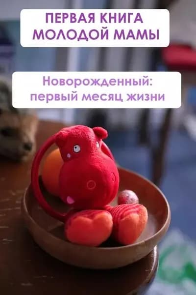Новорождённый: первый месяц жизни | Мельников Илья Валерьевич | Электронная книга