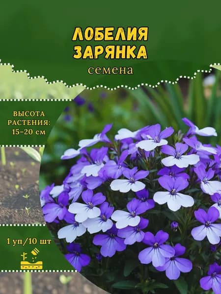 Лобелия "Зарянка" семена, 1 пачка