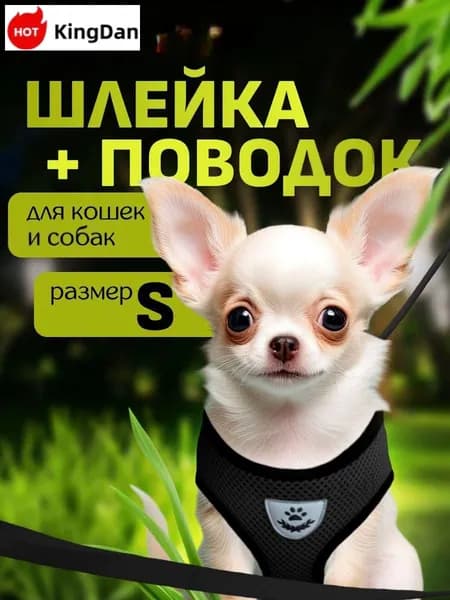 Шлейка