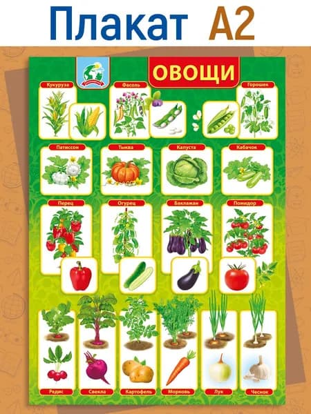 Плакат обучающий " Овощи "