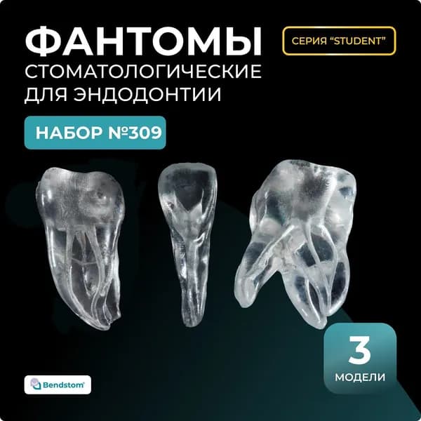 Набор №309 эндомодели взрослые (3 штуки) / эндозубы / стоматологический тренажер