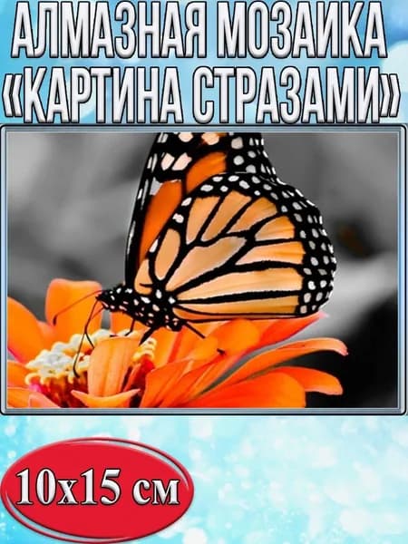 Алмазная мозаика со стразами Бабочка на цветке/Выкладка частичная/Размер холста 15х20 см/Размер картинки 10х15