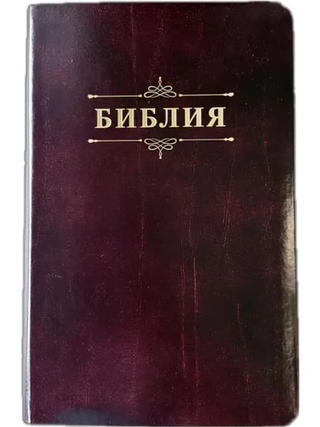 Библия 055 код 25055-34 дизайн "Библия с вензелем", кожаный переплет, цвет коричневый с оттенком бор