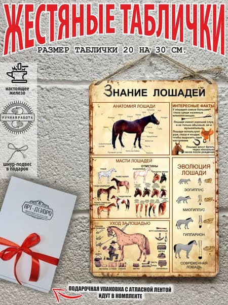 Постер "кони", 30х20 см