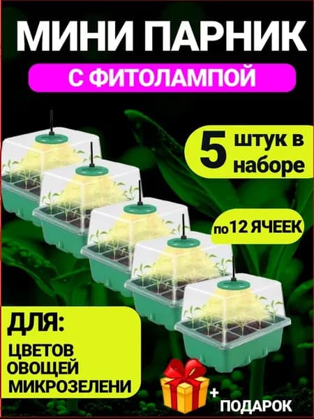 Мини парник для рассады с подсветкой и крышкой