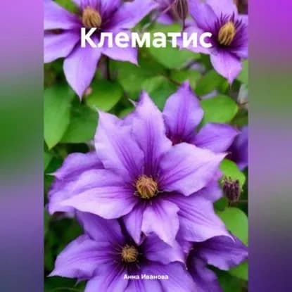 Клематис | Анна Ивановa | Электронная аудиокнига